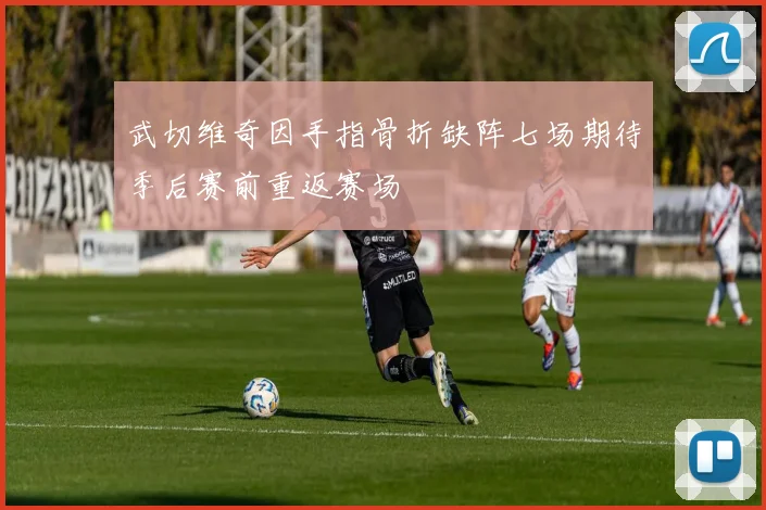 武切维奇因手指骨折缺阵七场期待季后赛前重返赛场